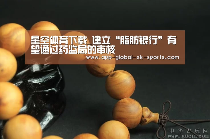 星空体育APP