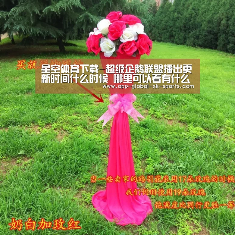 星空体育官网